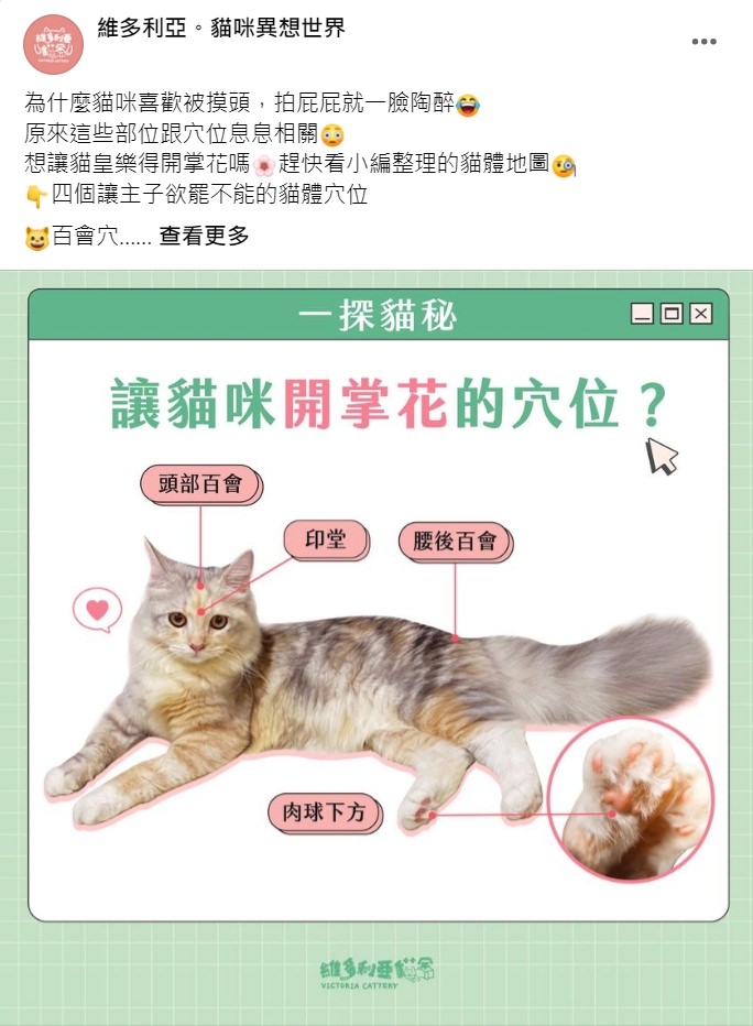 Facebook 社群貼文範例